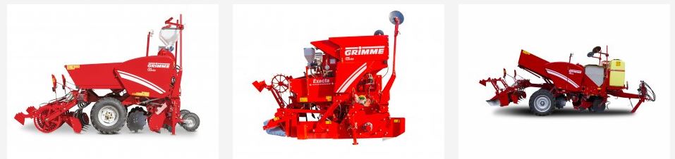 Grimme Pflanzen